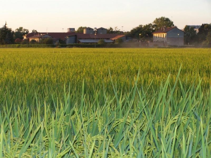Cascina Battivacco Vila Milão Exterior foto
