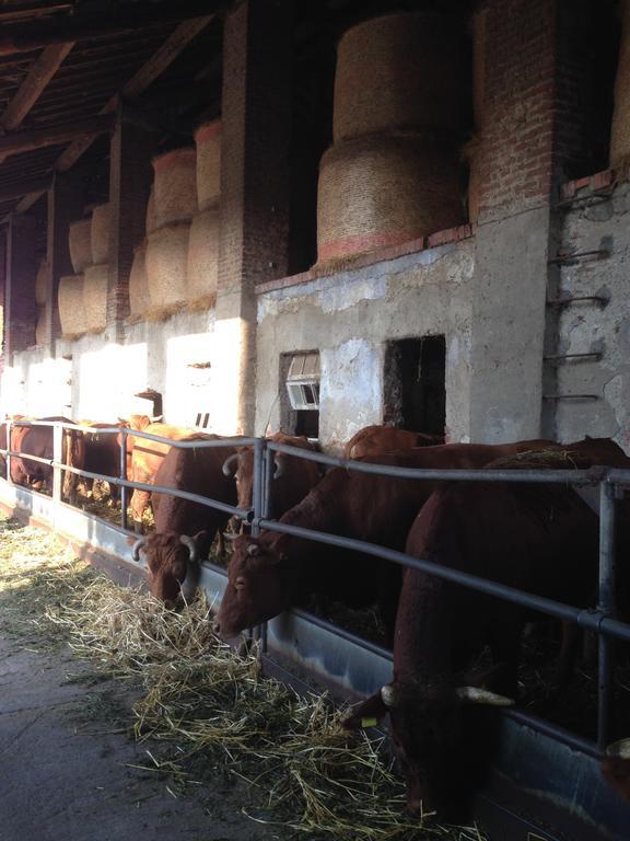 Cascina Battivacco Vila Milão Exterior foto